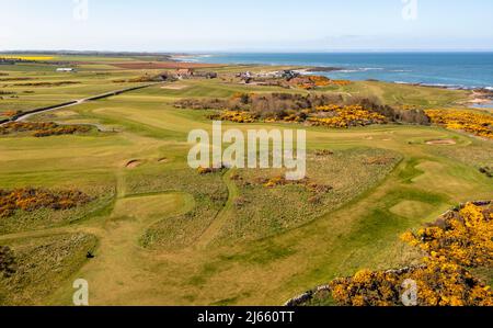 Aerial view of Craighead and Balcomie Links, Crail Golfing Society, Crail, Scotland Stock Photo