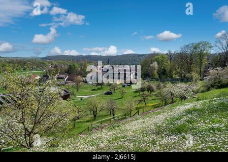 Village view from vineyard path Enzfelsen, Muhlhausen on the Enz, Kraichgau, Germany, Europe Stock Photo