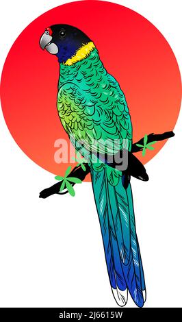Beautiful exotic bird isolated on white background. Vector illustration Stock Vector