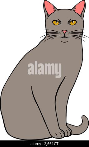 Simple grey sitting cat. Pet kitten. vector illustration Stock Vector