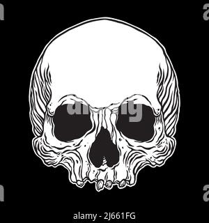 Anatomical Human Skull. Vector hand drawn illustration Stock Vector