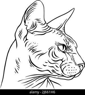 Sphinx cat portrait. Vector illustration Stock Vector