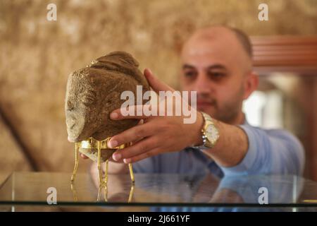 HANDOUT - 28 April 2022, Palestinian Territories, Gaza City: An employee holds a newly discovered stone 4,500-year-old stone sculpture at Qasr al-Basha Museum in Gaza City. According to the Palestinian Ministry of Tourism and Antiquities, the 22-centimeter (6.7-inch) tall limestone head, which was found by a Palestinian farmer while working on his land in the southern Gaza Strip, is believed to represent the Canaanite goddess Anat and dates back to around 2500 BC. Photo: Mohammed Talatene/dpa - ATTENTION: editorial use only and only if the credit mentioned above is referenced in full Stock Photo