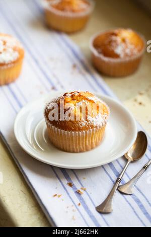 Sweet muffins with powdered sugar and blossoms. Homemade bakery