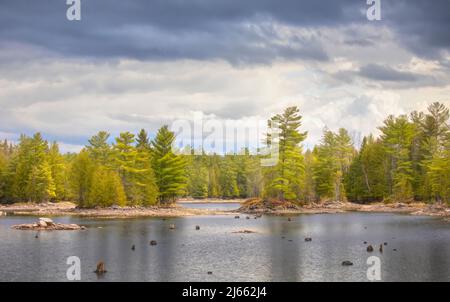 Morris island in the springtime along the Ottawa river in Canada Stock Photo