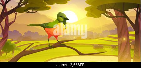Cartoon bird sitting on tree branch, cute colorful birdie with green and yellow feathers at Asian rice field terraces in mountains scenery summer land Stock Vector
