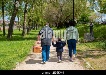 Family arriving in the park for picnic Stock Photo