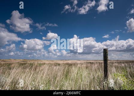 Impressionen von der Insel Borkum Stock Photo