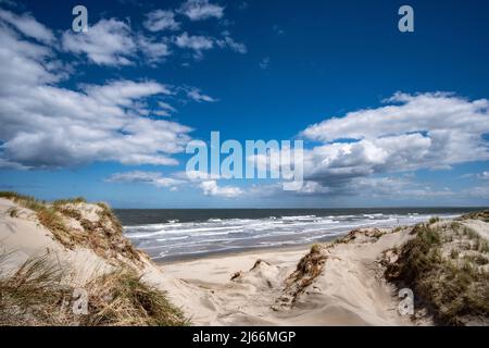 Impressionen von der Insel Borkum, einsamer Nordstrand, Dünen, Blick nach Juist, Kaiserwetter. Stock Photo