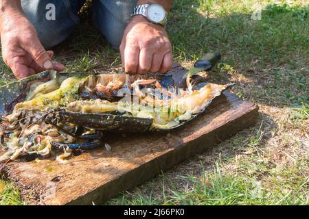 Fisherman cleaning a breton lobster after fishing Stock Photo