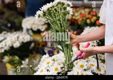 Woman florist cutting lower edge of flowers with sharp secateurs Stock Photo