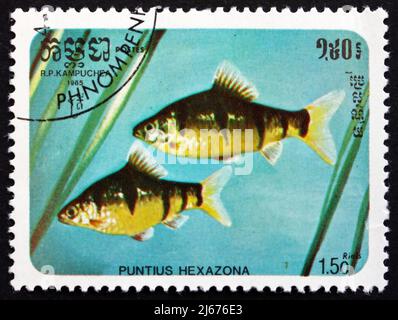 CAMBODIA - CIRCA 1985: a stamp printed in Cambodia shows Six-banded Tiger Barb, Puntius Hexazona, Fish, circa 1985 Stock Photo