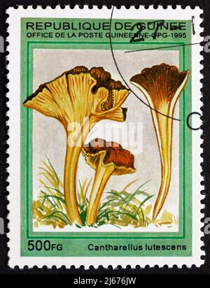 GUINEA - CIRCA 1995: a stamp printed in the Guinea shows Yellow Foot, Cantharellus Lutescens, Mushroom, circa 1995 Stock Photo