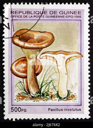 GUINEA - CIRCA 1995: a stamp printed in the Guinea shows Brown roll-rim, Paxillus Involutus, Mushroom, circa 1995 Stock Photo