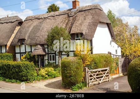 Half timbered black and white thatched country cottages at Ashton under Hill a village in  Worcestershire England.at the foot of the Bredon Hills Stock Photo