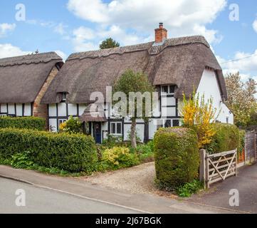 Half timbered black and white thatched country cottages at Ashton under Hill a village in  Worcestershire England.at the foot of the Bredon Hills Stock Photo