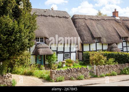 Half timbered black and white thatched country cottages at Ashton under Hill a village in  Worcestershire England.at the foot of the Bredon Hills Stock Photo