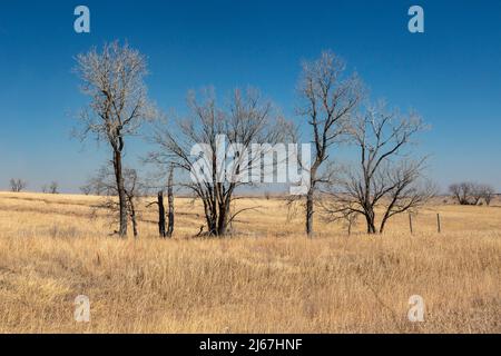 Dexter, Kansas - A landscape in winter in southern Kansas. Stock Photo