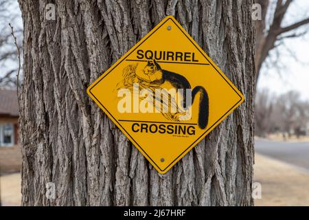 Liberal, Kansas - A sign in a residential neighborhood warns motorists about squirrels crossing the street. Stock Photo