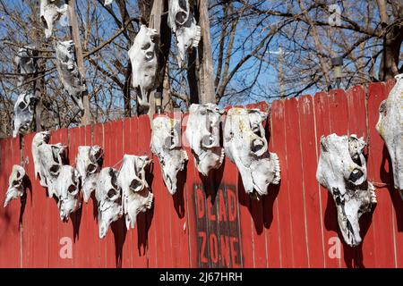 Coffeyville, Kansas - Animal skulls and signs remain as a protest in the 'dead zone' after a 2007 oil spill at the Coffeyville Resources oil refinery. Stock Photo