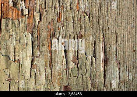 Old green wooden wall with cracked paint, background texture. High quality photo Stock Photo