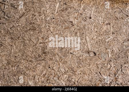 Old wood texture background  Stock Photo