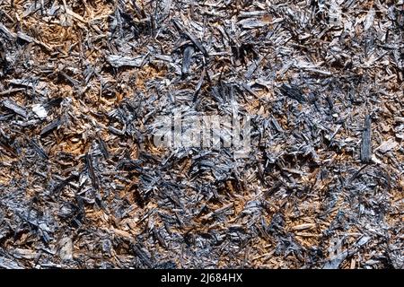 vintage background texture. old wood panels Stock Photo