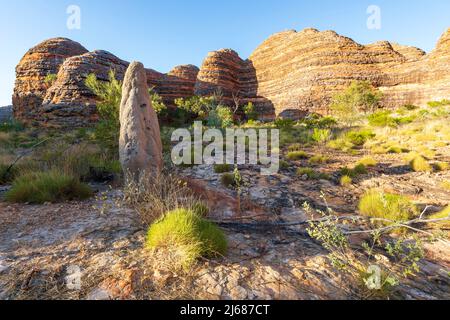 Termite Mound and Spinifex at the sandstone hills of Purnululu National Park or Bungle Bungles, a Unesco World Heritage site in the Kimberley, Western Stock Photo