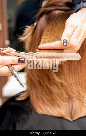Hands of hairdresser hold hair strand between his fingers making haircut of long hair of the young woman with comb and scissors in hairdresser salon, close up Stock Photo