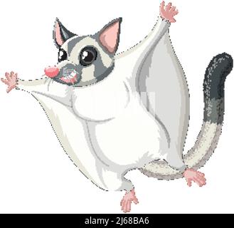 A cute cute sugar glider cartoon character illustration Stock Vector