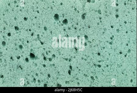 Green sponge detailed texture, sponge texture background Stock Photo