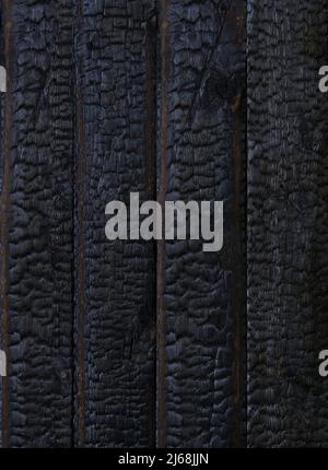 burnt wood background firewood pattern Stock Photo