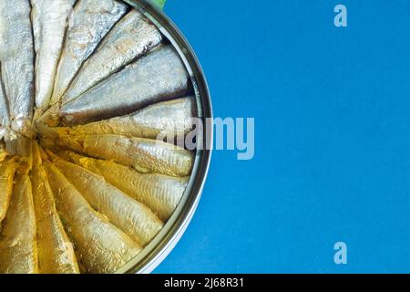 Half-round tin of canned sardines in olive oil is open on a blue-colored studio background with copy space. Food and food pantry. Stock Photo