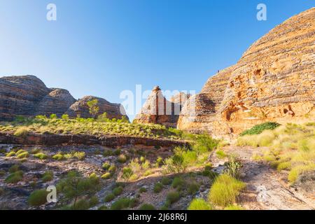 Walking trail in Purnululu National Park or Bungle Bungles, a Unesco World Heritage site in the Kimberley, Western Australia, WA, Australia Stock Photo