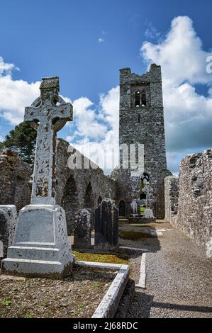 Gaves and Irish tombstones in the ruins of Slane Abbey in County Meath Ireland. Stock Photo