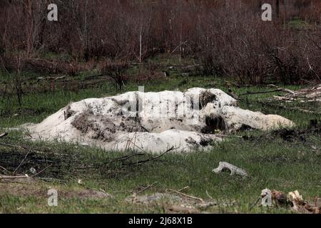 Chernobyl, Ukraine. 28th Apr, 2022. An International Ionizing Radiation ...