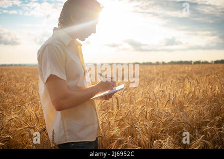 A young man agronomist in a wheat field. Ripe barley, sunset. The employee calculates losses and profits, evaluates the yield and quality of seeds. The specialist writes in a notebook Stock Photo