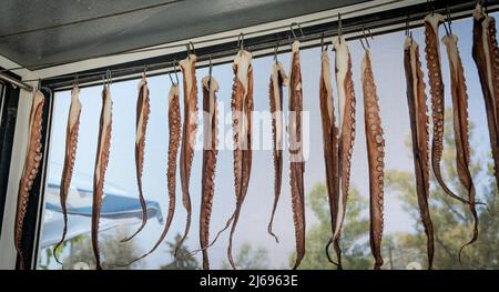 Tentacles of freshly caught Octopus hanging to dry in a Greek restaurant, Crete, Greek Islands, Greece, Europe Stock Photo