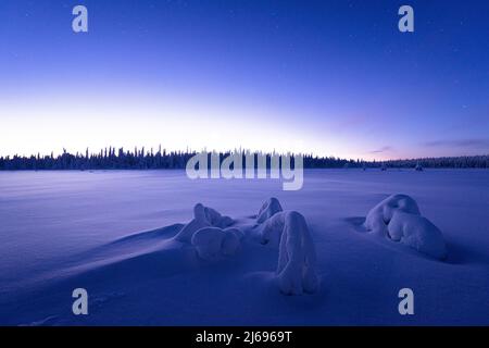 Arctic dusk lights over the frozen land covered with snow in winter, Lapland, Finland, Europe Stock Photo