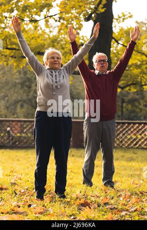 Senior Caucasian couple doing stretching in park autumn healthy lifestyle concept full shot . High quality photo Stock Photo