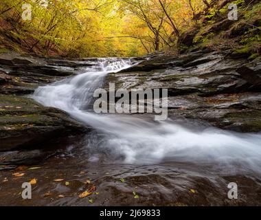 Autumn colors in a beech wood with a waterfall flowing between rocks, long exposure, Emilia Romagna, Italy, Europe Stock Photo