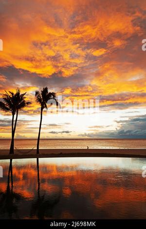 Palm trees silhouetted against red clouds reflect in an infinity pool during sunset over a beach at Flic en Flac, Mauritius, Indian Ocean, Africa Stock Photo