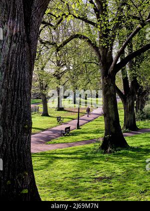 Lovers' Walk and Cotham Gardens in Redland Bristol UK on a sunny spring morning Stock Photo