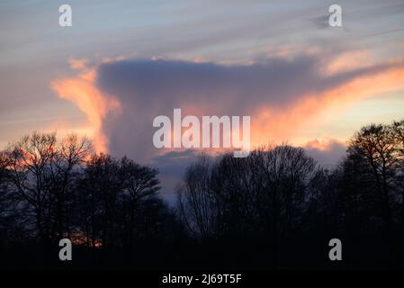 Beautyful dramatic sky during sunset with trees in the foreground Stock Photo