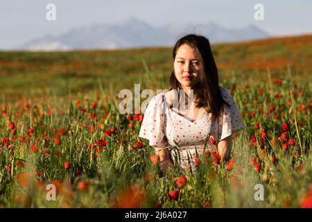 Poppy fields near Leninskoe village near the city of Bishkek in Kyrgyzstan. Stock Photo