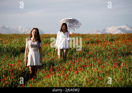 Poppy fields near Leninskoe village near the city of Bishkek in Kyrgyzstan. Stock Photo