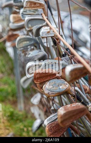Boaz, Kentucky - Gold clubs on sale at the Anything Goes Trading Company's flea market. Stock Photo