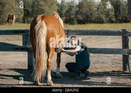 Teenage girl sitting next to horse and holding sweat scraper in hand. Stock Photo