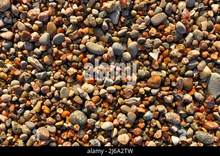 Different colored beach pebbles as background or texture. Stock Photo