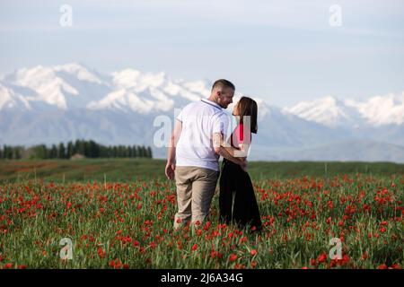 Poppy fields near Leninskoe village near the city of Bishkek in Kyrgyzstan. Stock Photo